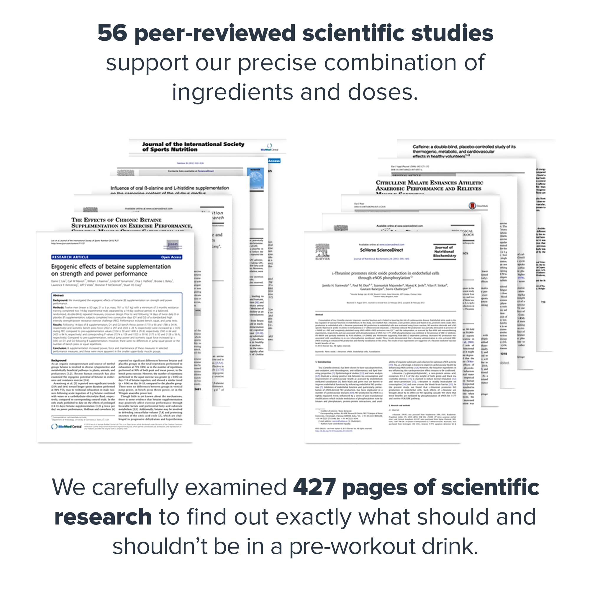 LEGION Pulse preworkout ingredient visualization highlights six effective components