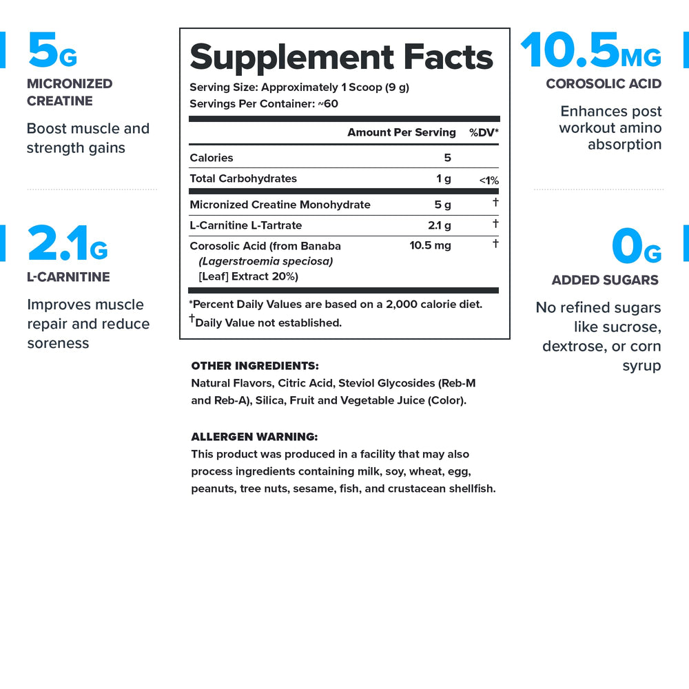 LEGION Recharge creatine monohydrate scoop showing precise dose for workouts.