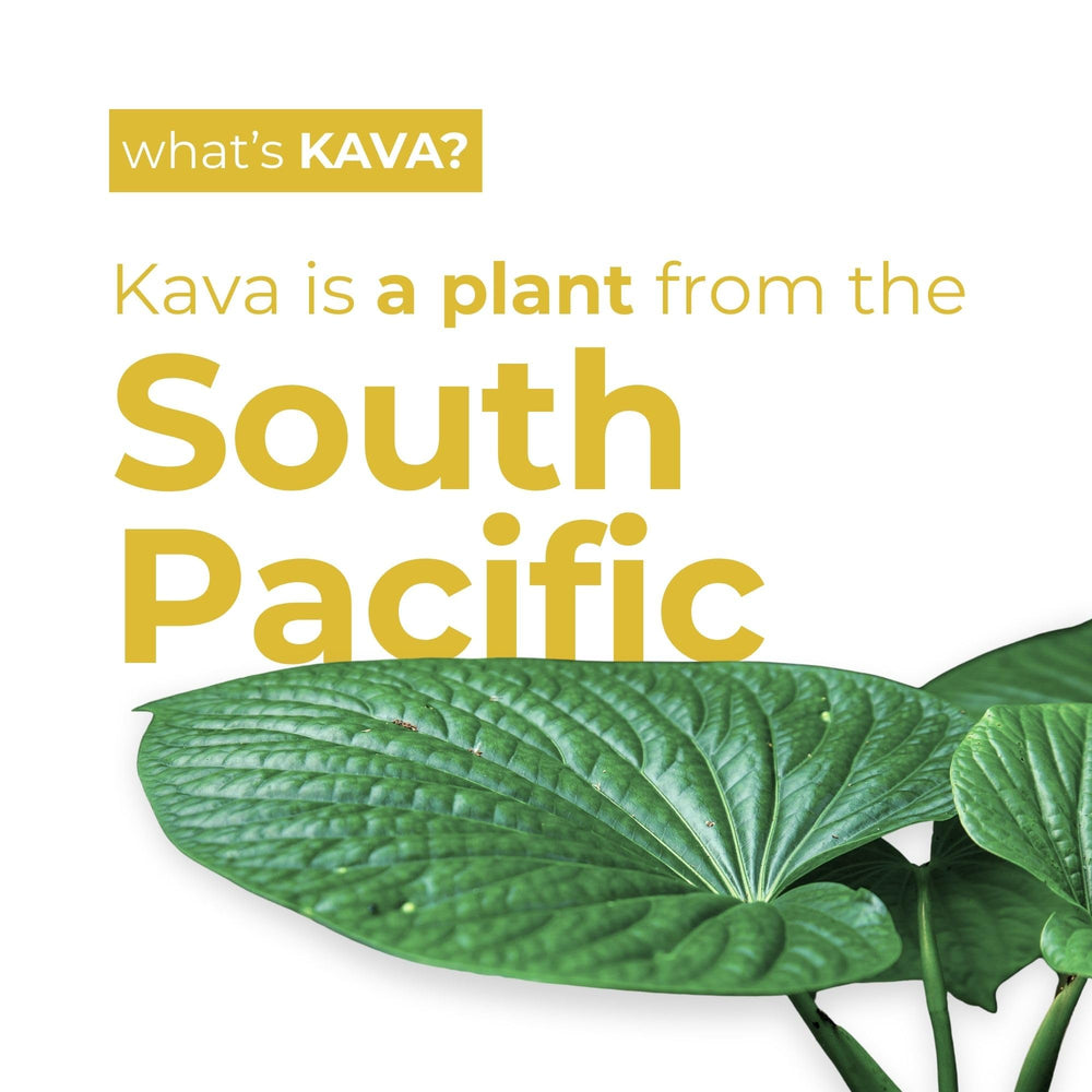 Creamy coconut texture from LEILO kava mocktail offers a smooth tropical mouthfeel