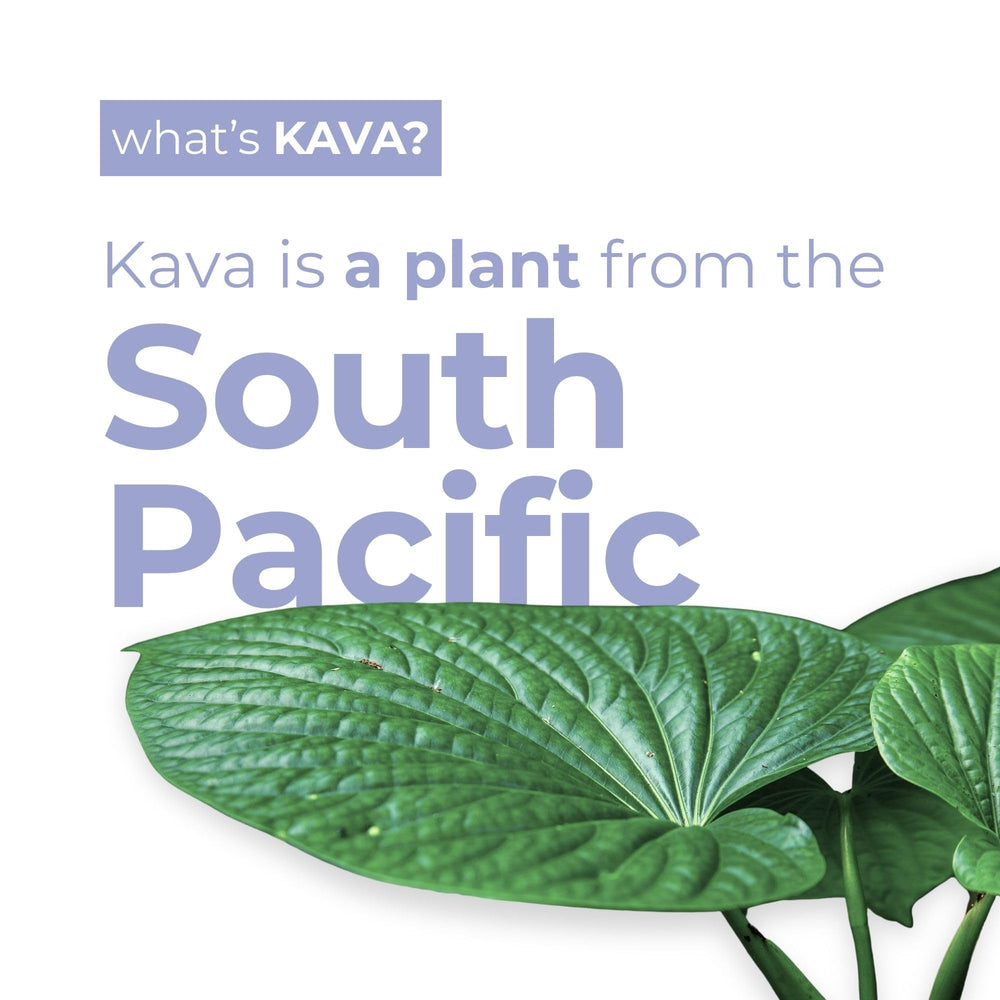 LEILO kava ingredients label, gluten-free and vegan option