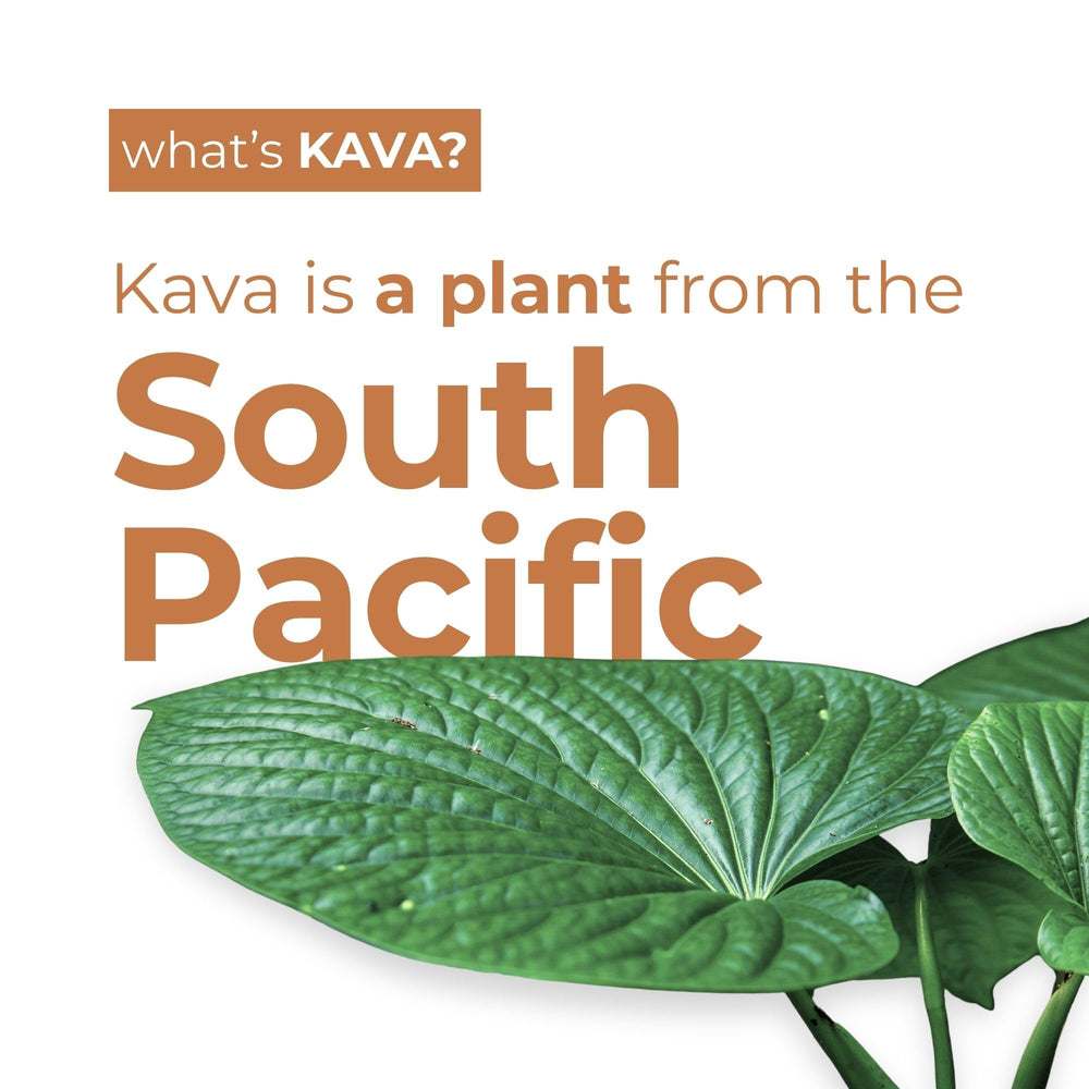 LEILO Kava Moscow Mule 12-pack cans ready for gatherings and easy chilling