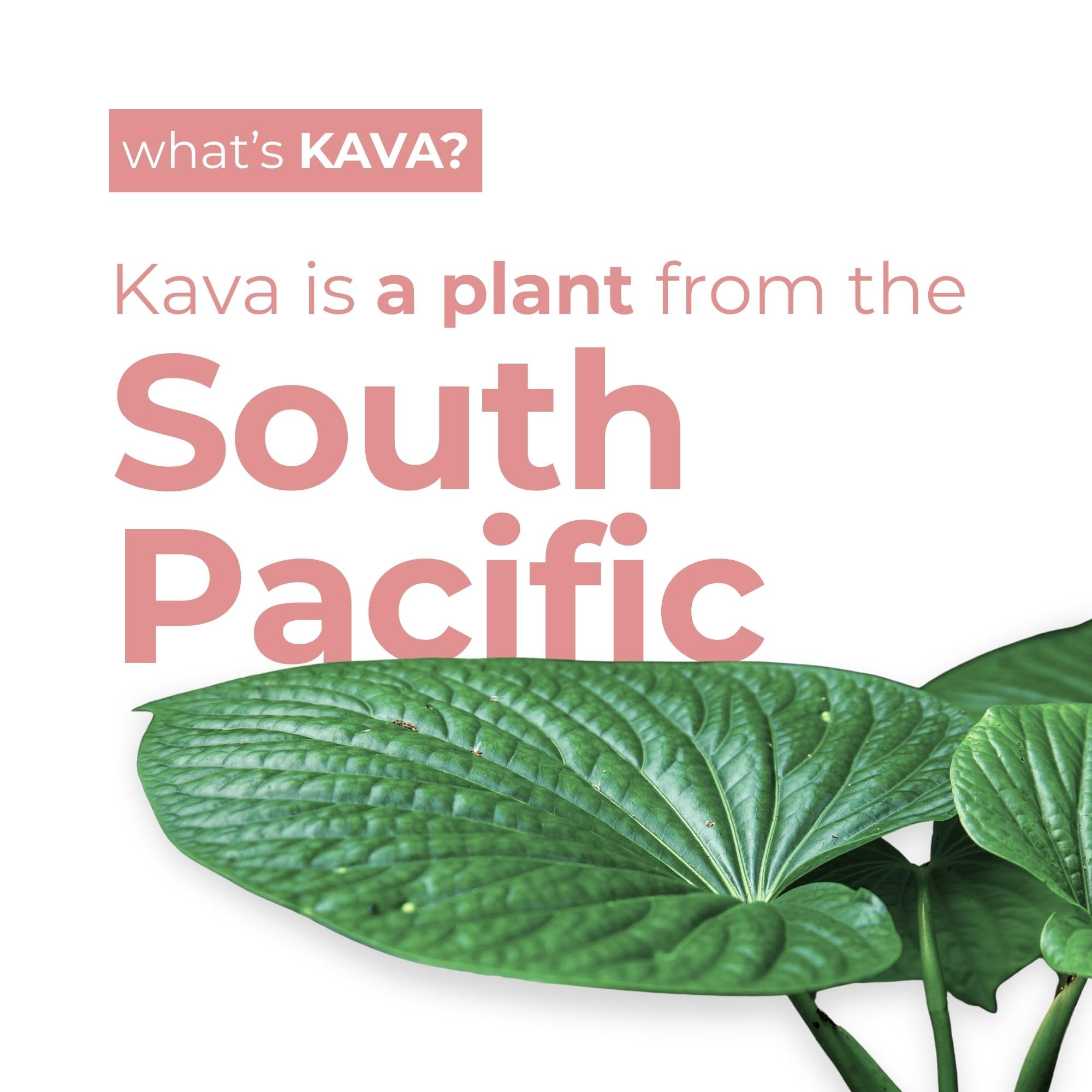 LEILO kava sparkling raspberry hibiscus pack on shelf signals alcohol-free unwind