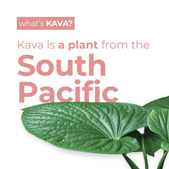 LEILO kava sparkling raspberry hibiscus pack on shelf signals alcohol-free unwind