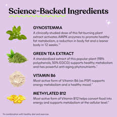 Lemme Burn with Actiponin Gynostemma extract for plant-based wellness.