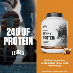 Levels Grass Fed Whey ingredients showing natural, clean components