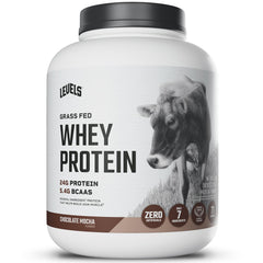 Levels Grass Fed Whey Powder in chocolate mocha for post-workout recovery