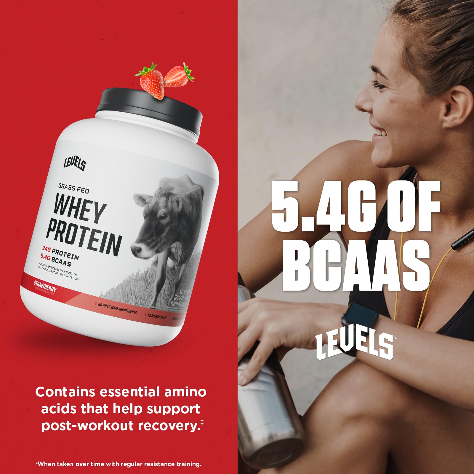 Levels Grass Fed Whey Powder on a kitchen counter emphasizing premium dairy.