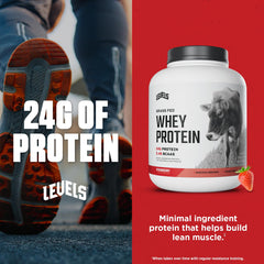 Pouring Levels Grass Fed Whey Powder into a shaker for easy mixing.