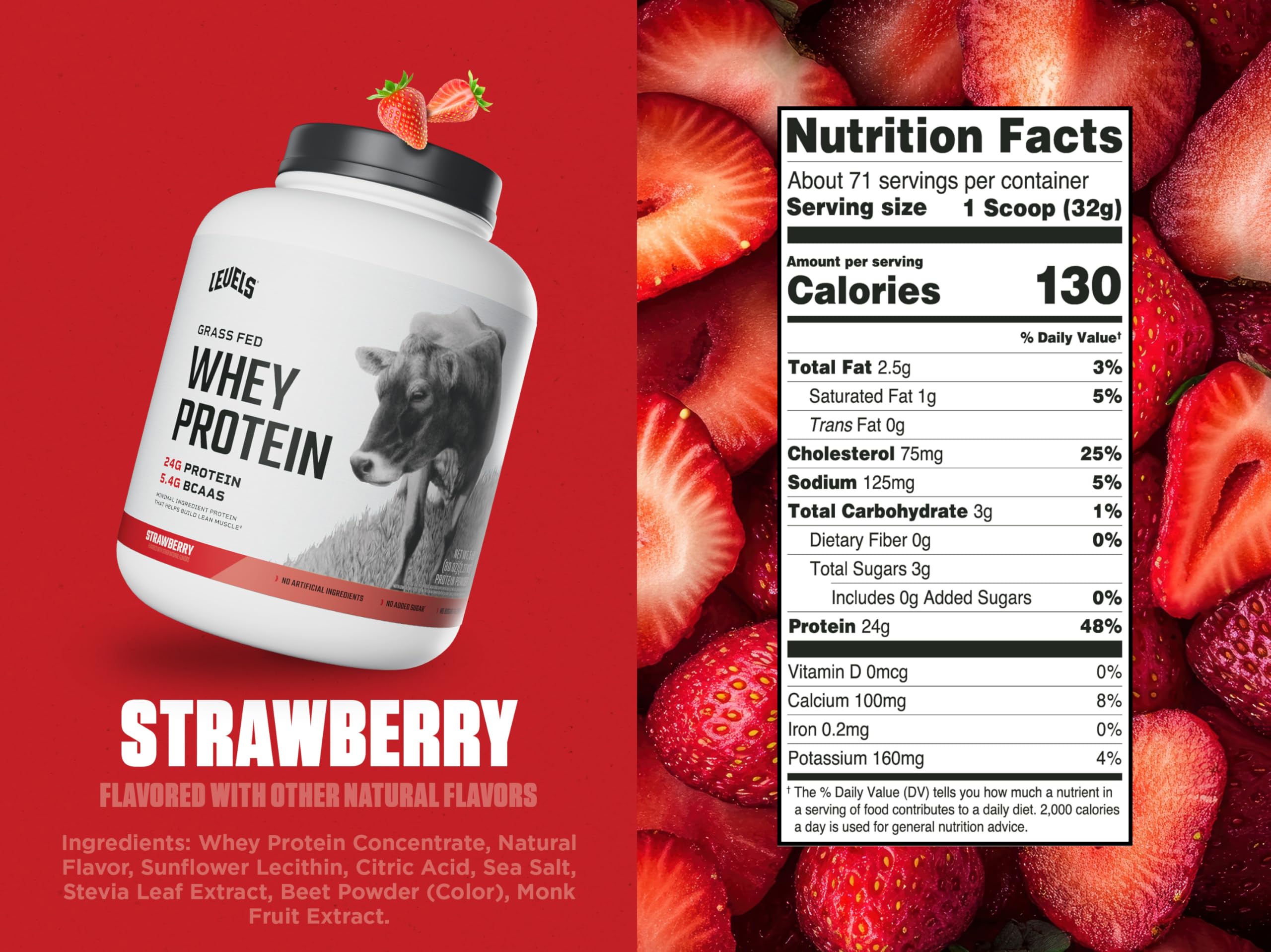 Scoop of Levels Grass Fed Whey Powder showing high protein content.