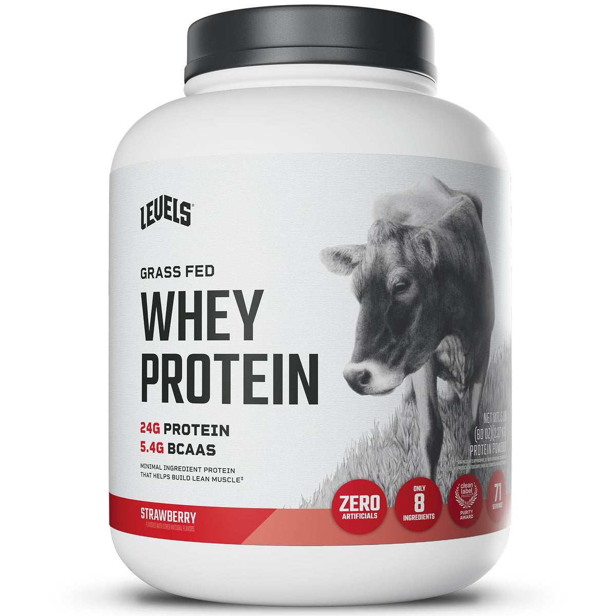 Levels Grass Fed Whey Strawberry 5lb tub ready for a protein boost.