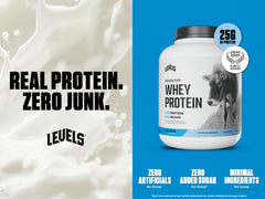 Levels Grass Fed Whey powder scoop close-up highlights 25g protein per serving for post-workout fueling.