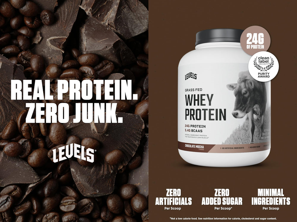 Levels Grass Fed Whey protein scoop chocolate mocha for quick shakes