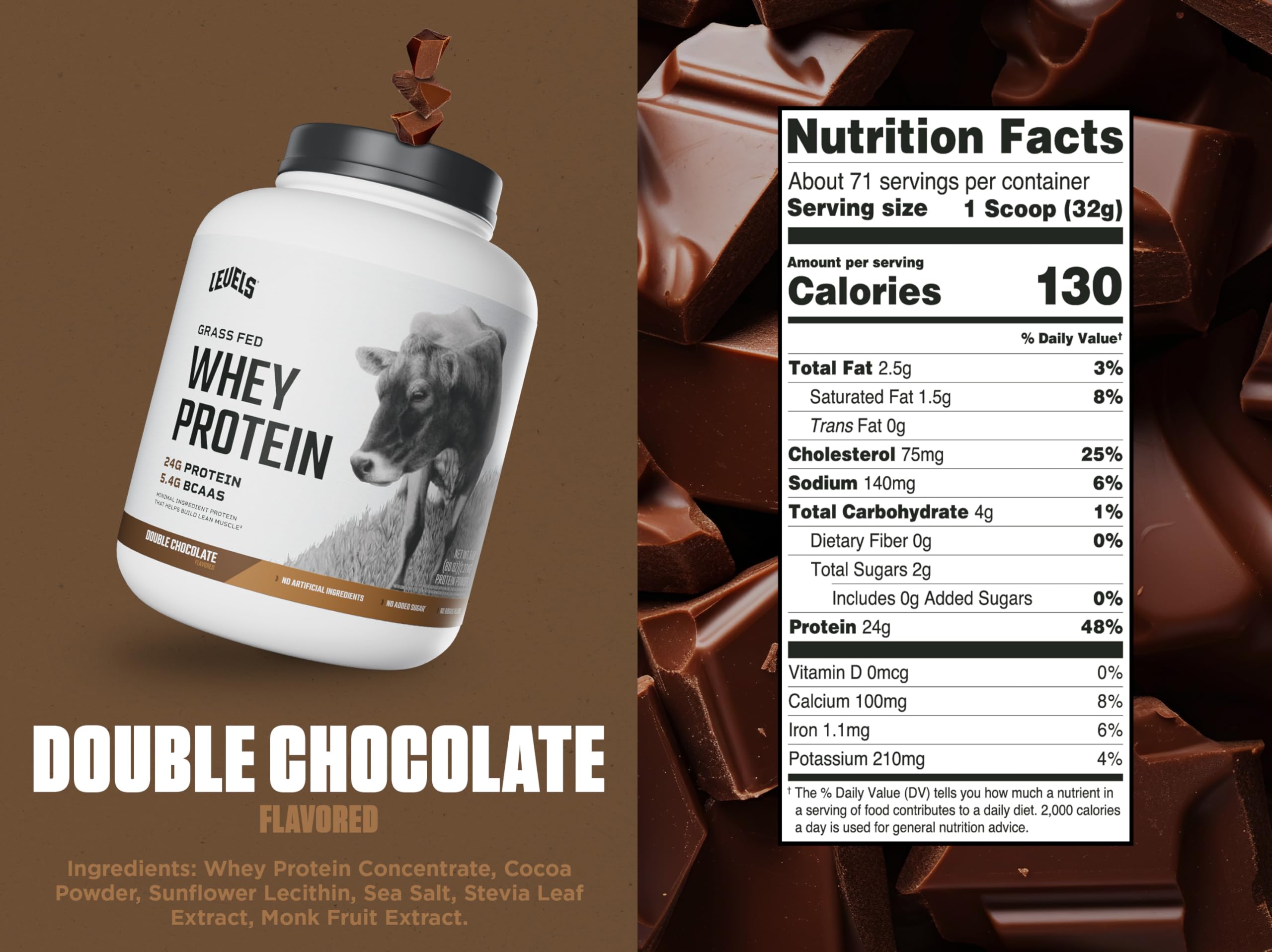 Levels Whey Double Chocolate powder scoop reveals rich flavor