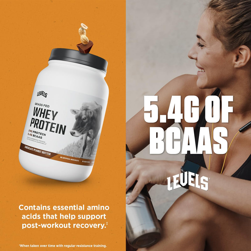 Ingredients panel on Levels whey, showcasing monk fruit sweetness and no artificial additives