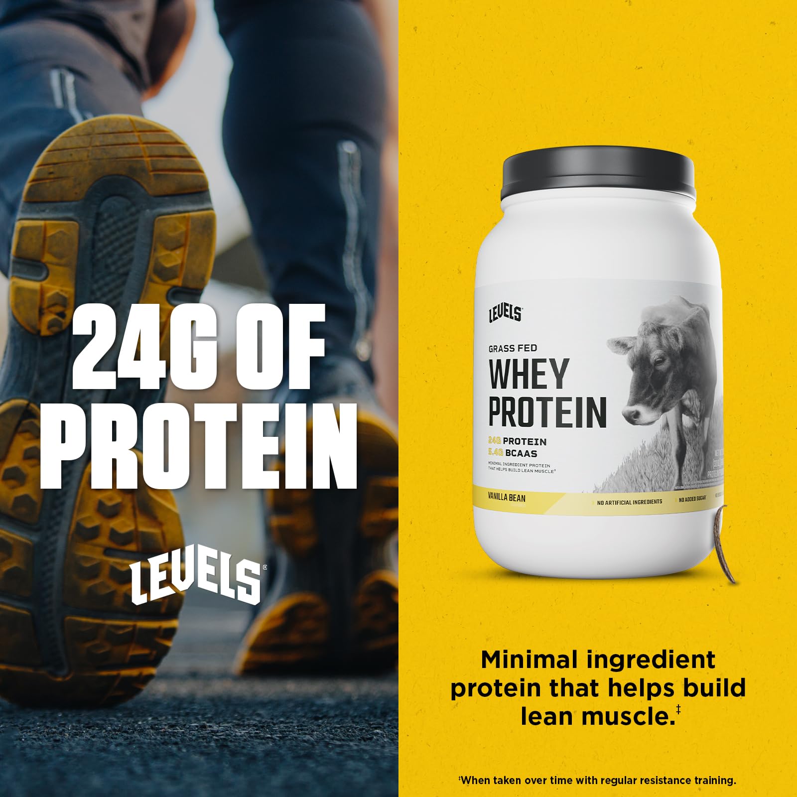 Levels Whey Ingredients Non-GMO Sunflower Lecithin for easy mixing