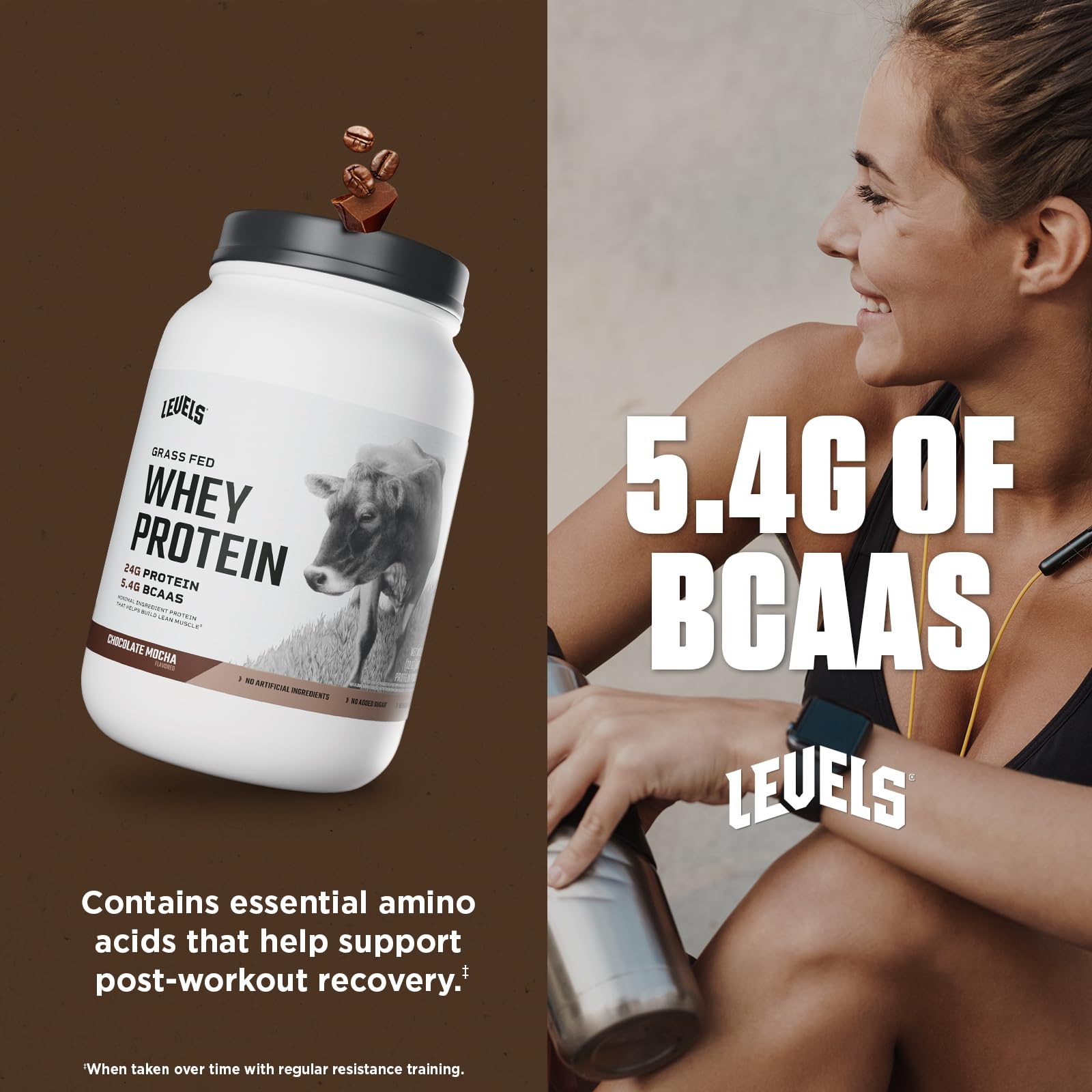 Levels made in USA label on protein powder jar