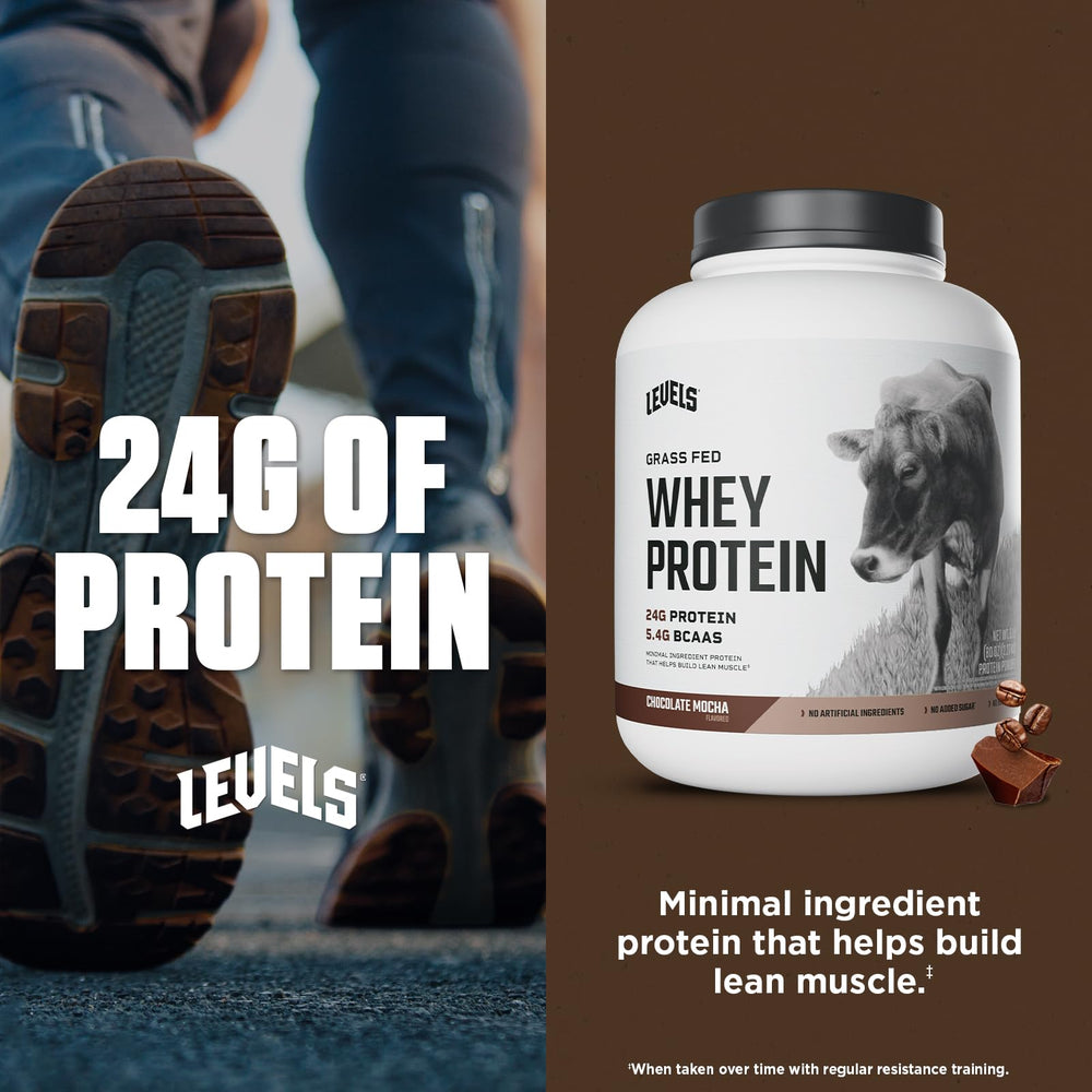 Levels Whey protein chocolate mocha shaker in use for blending
