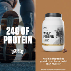 Levels whey protein mix shown being poured into a glass for a shake.