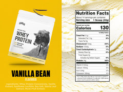 Levels Whey protein vanilla bean scoop demonstrates 24g protein per serving.