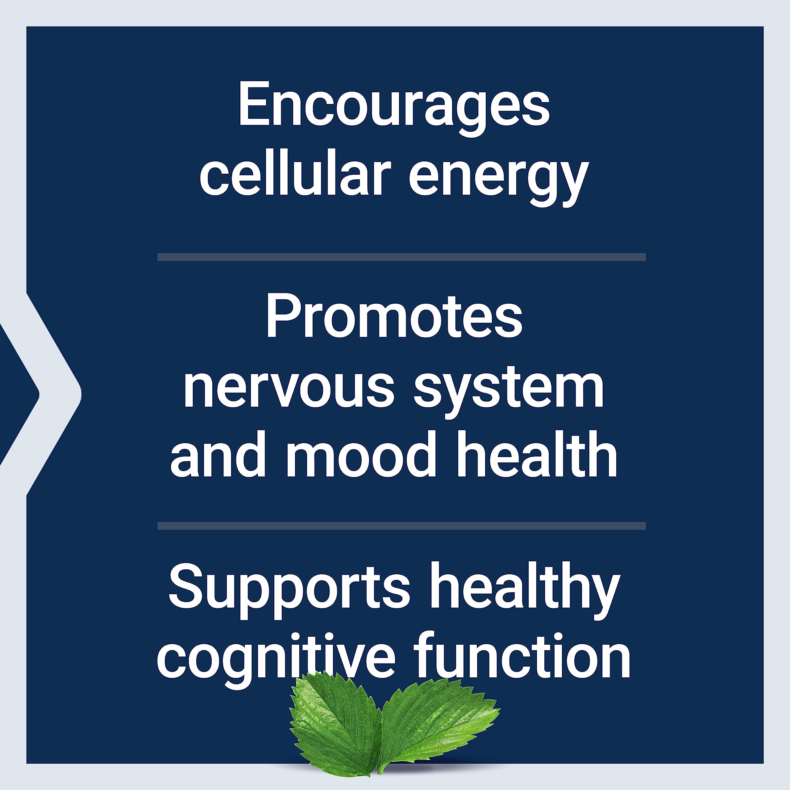 Life Extension Acetyl-L-Carnitine in hand conveys everyday supplement ease.