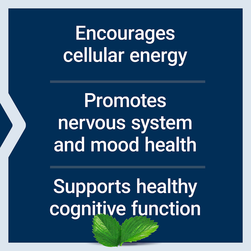 Life Extension Acetyl-L-Carnitine in hand conveys everyday supplement ease.