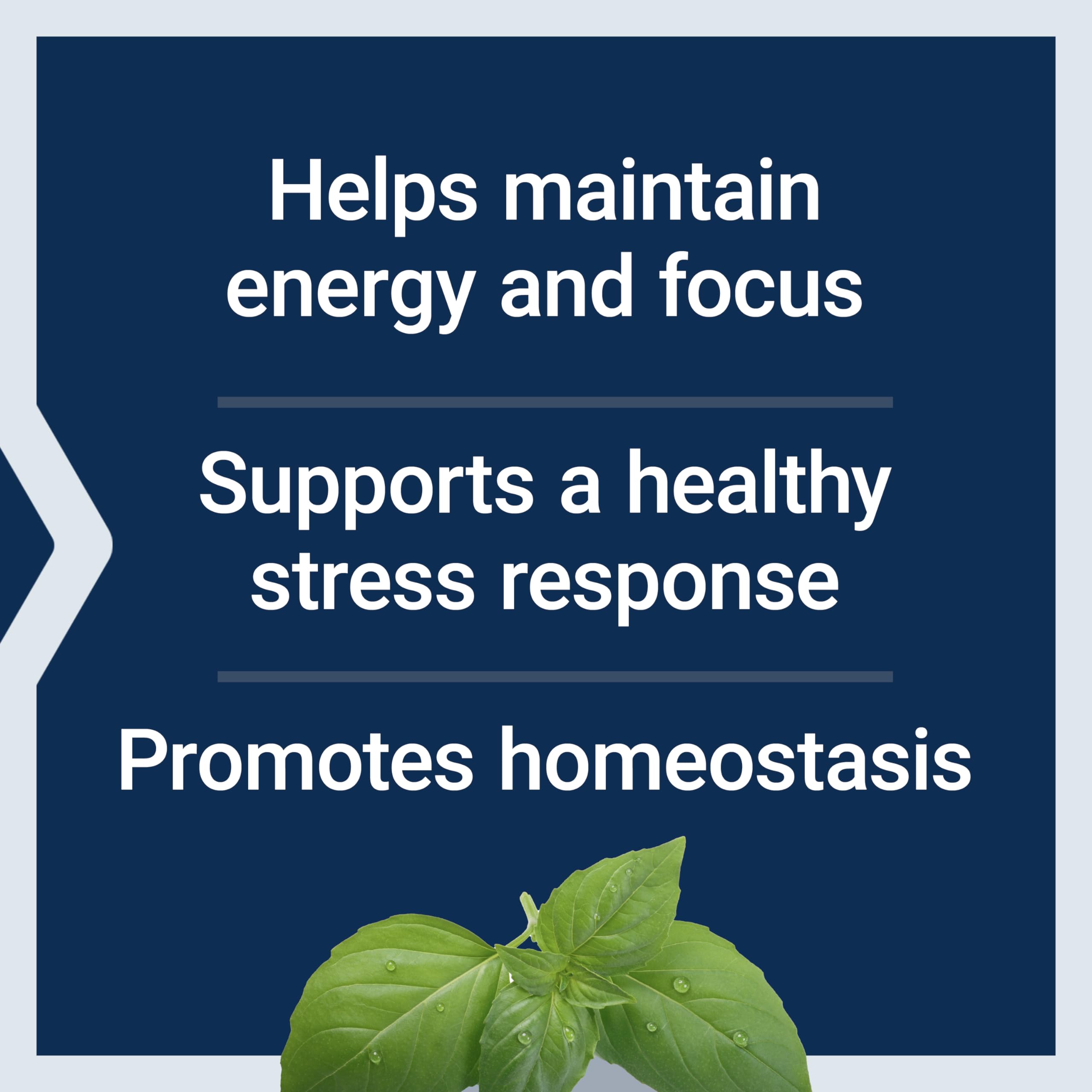 Life Extension Adrenal Energy Formula holy basil visual suggests stress resilience