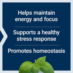 Life Extension Adrenal Energy Formula holy basil visual suggests stress resilience