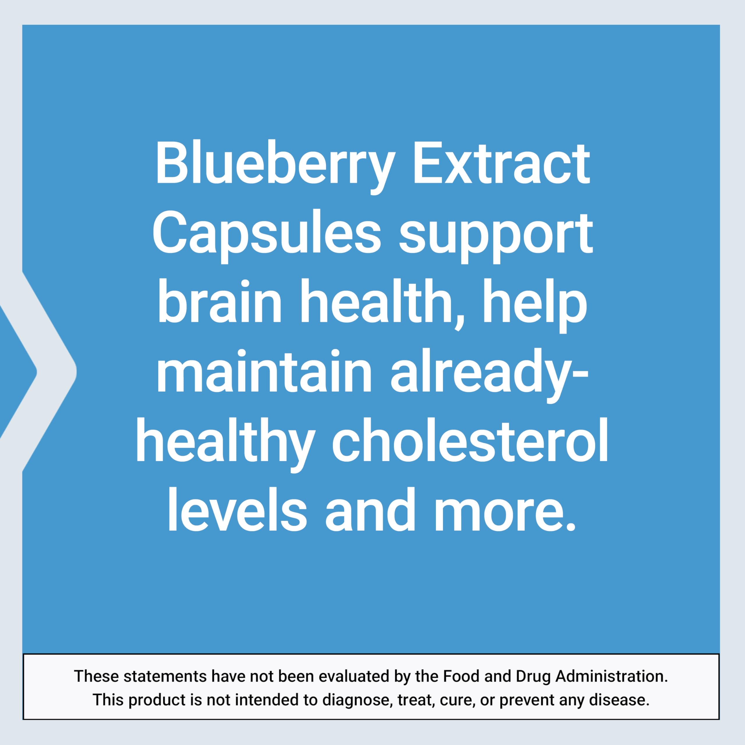 Life Extension Blueberry Extract Capsules closeup shows 500 mg extract per capsule