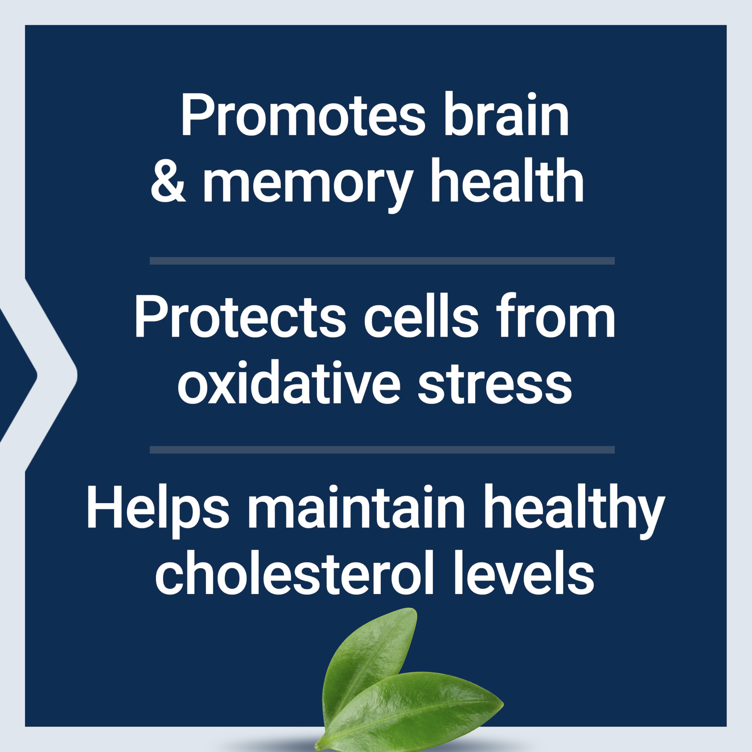 Life Extension Blueberry Extract Capsules ingredients list highlights wild blueberry fruit extract