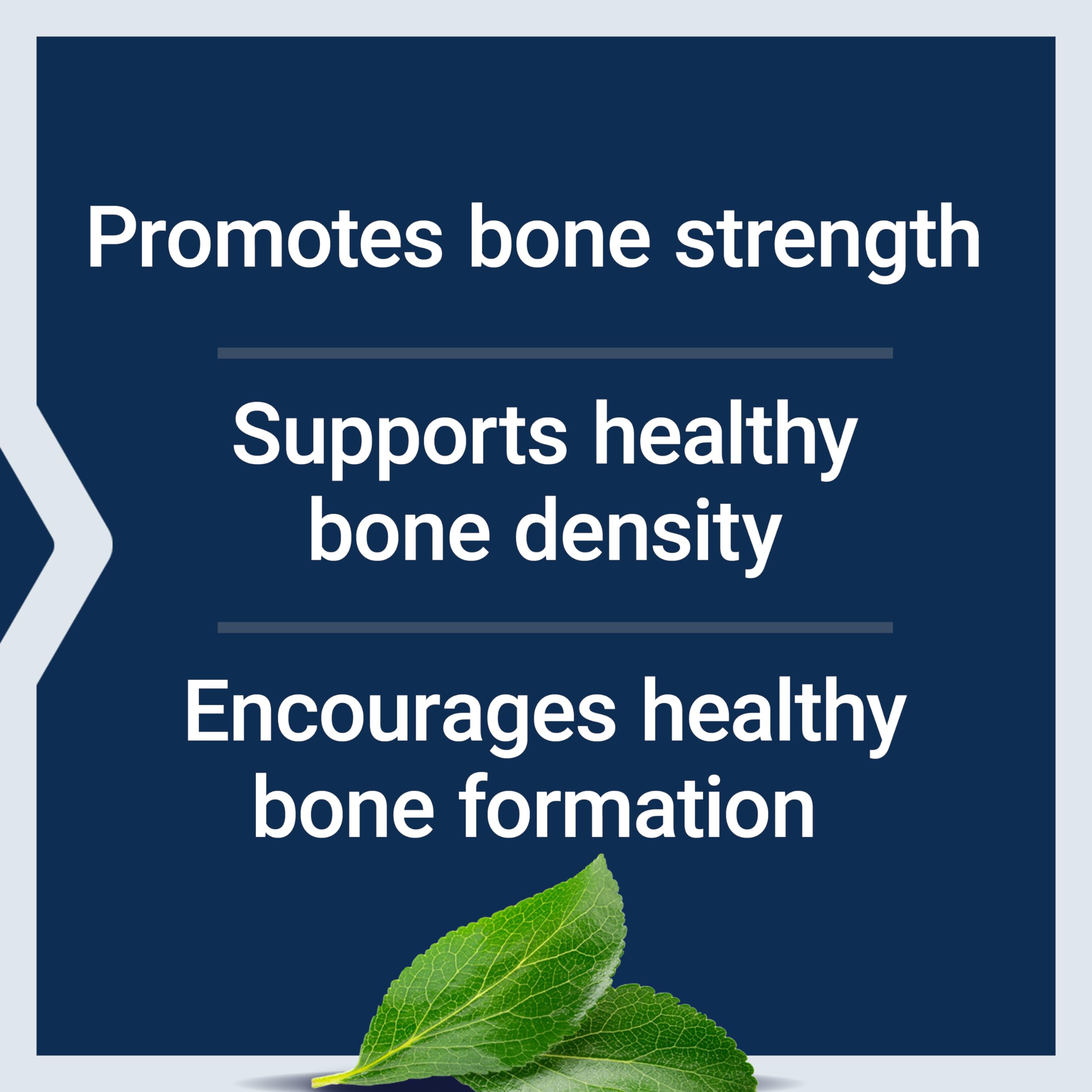 Close-up of Life Extension Bone Restore capsules for easy daily bone support.
