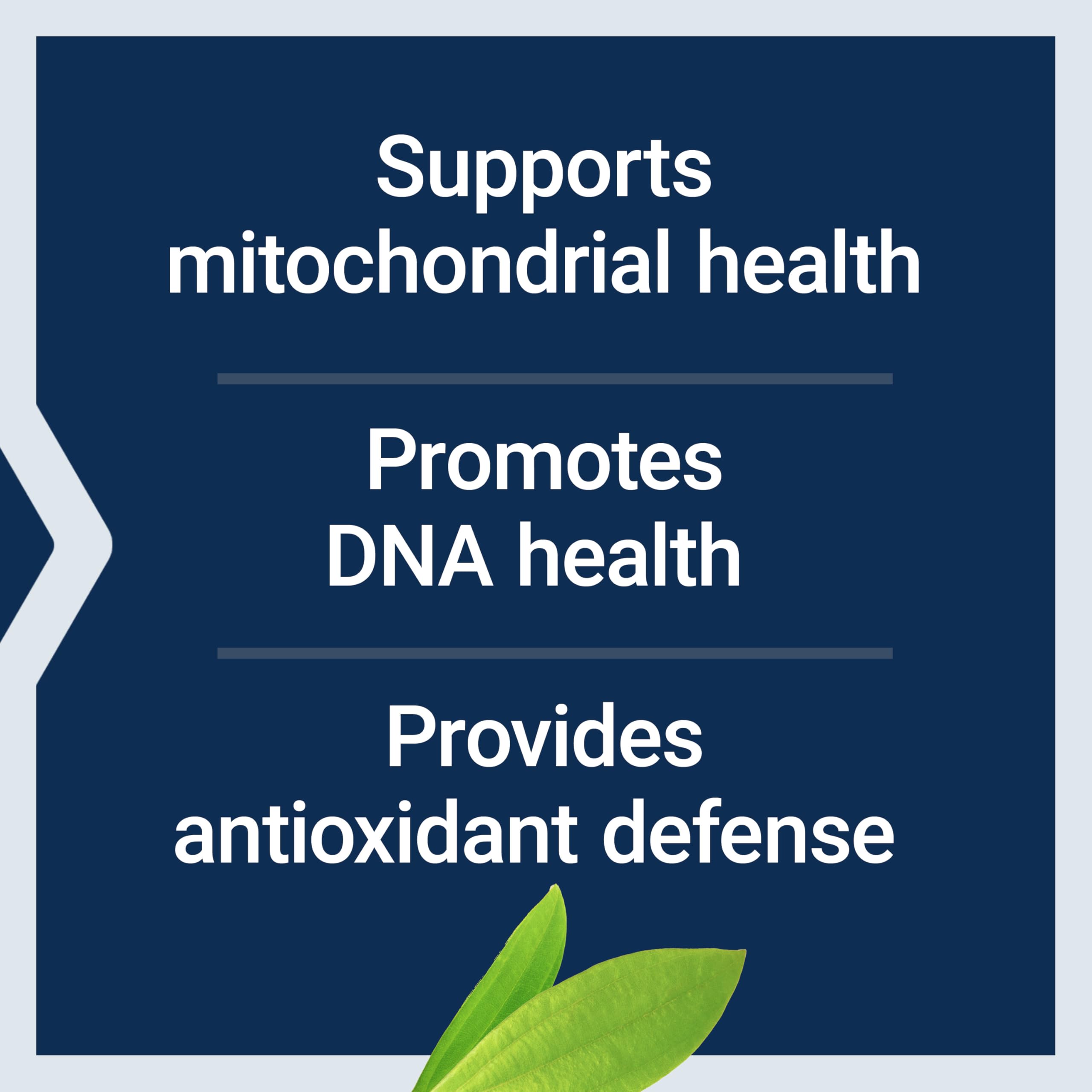 Life Extension Chlorophyllin ingredients glass highlights non-GMO, gluten-free sourcing.