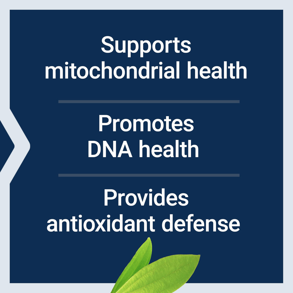 Life Extension Chlorophyllin ingredients glass highlights non-GMO, gluten-free sourcing.