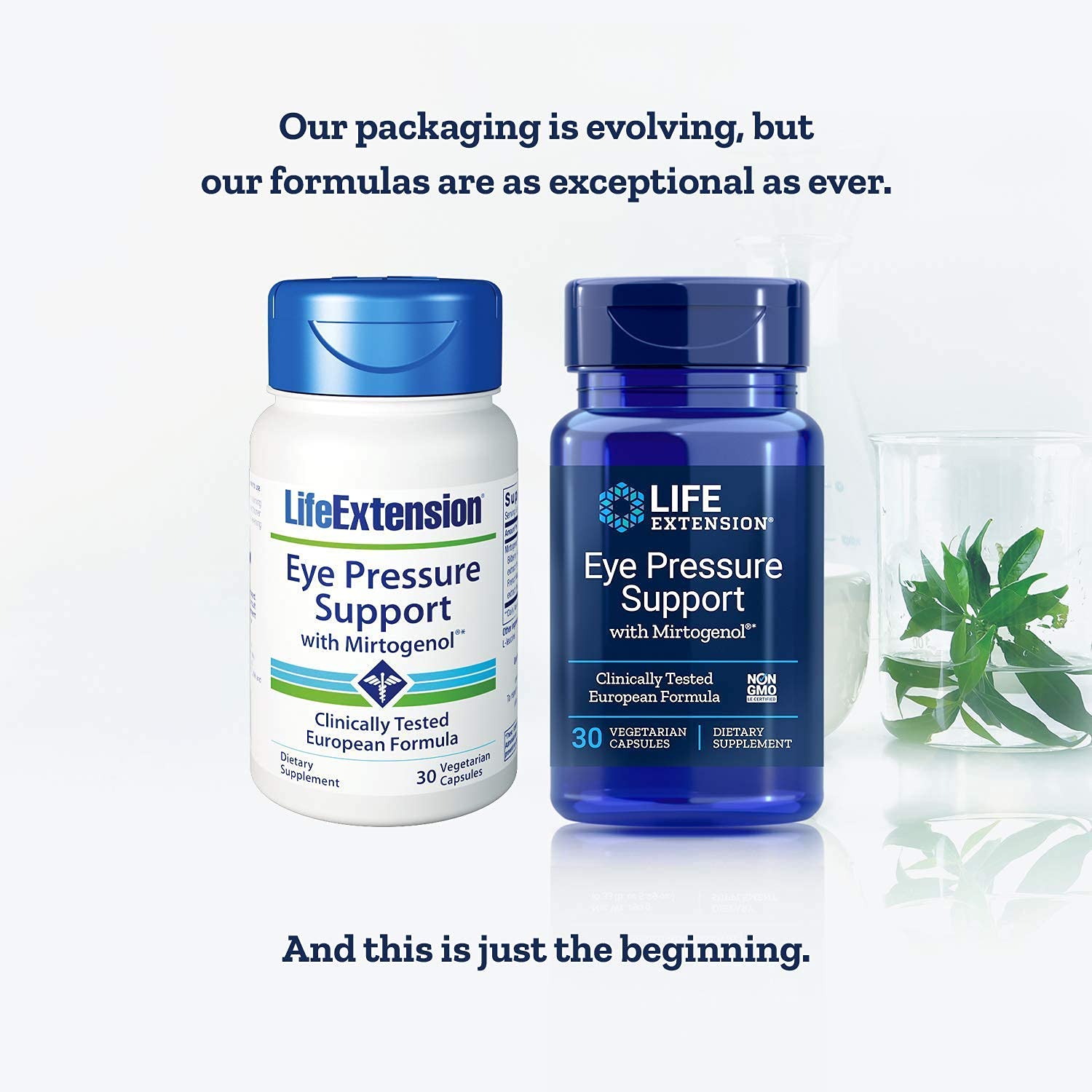 Life Extension Eye Pressure Support Mirtogenol capsules supporting eye health.