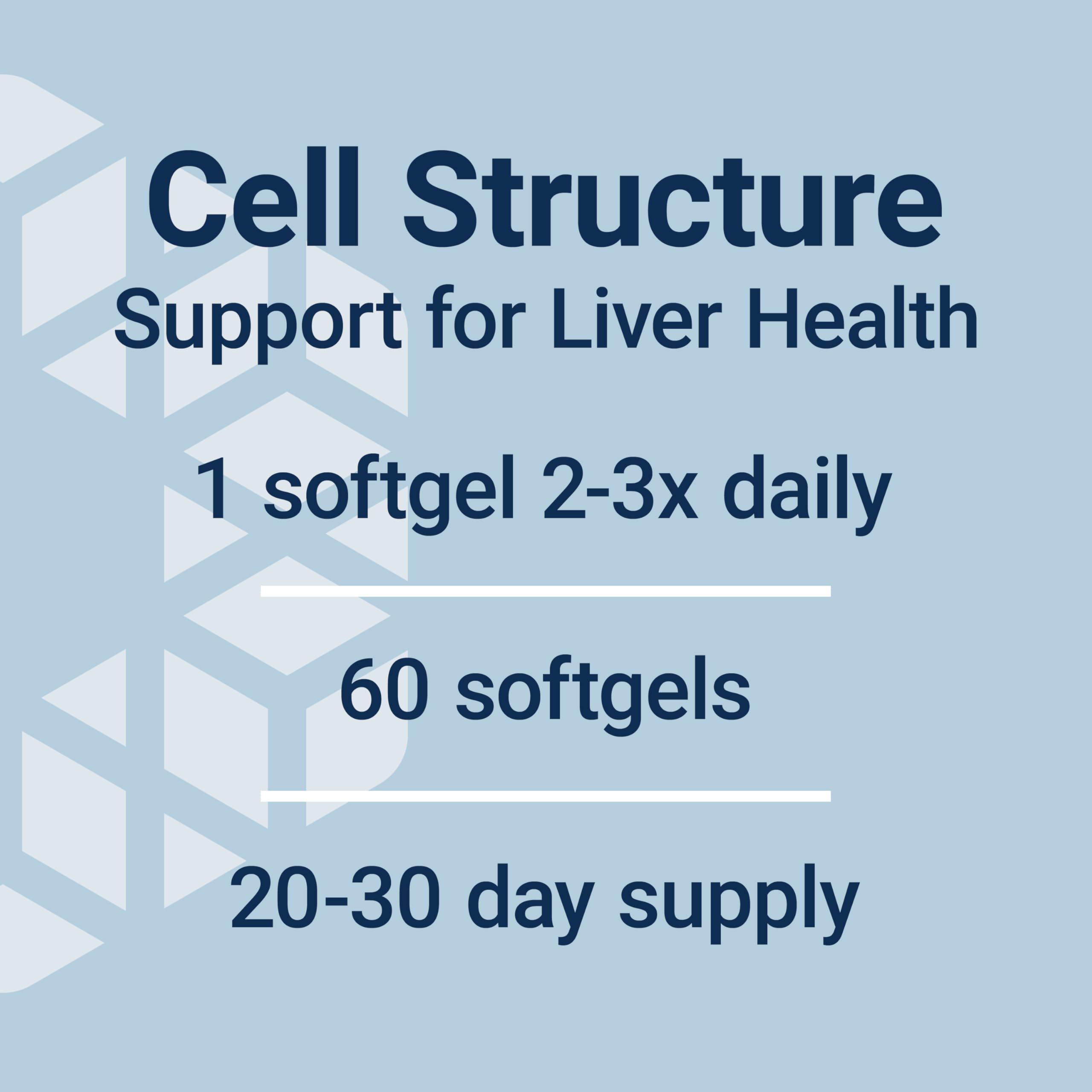 Illustration of liver cell membranes to convey product purpose.