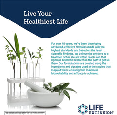Life Extension L-Theanine label detail shows 60 vegetarian capsules