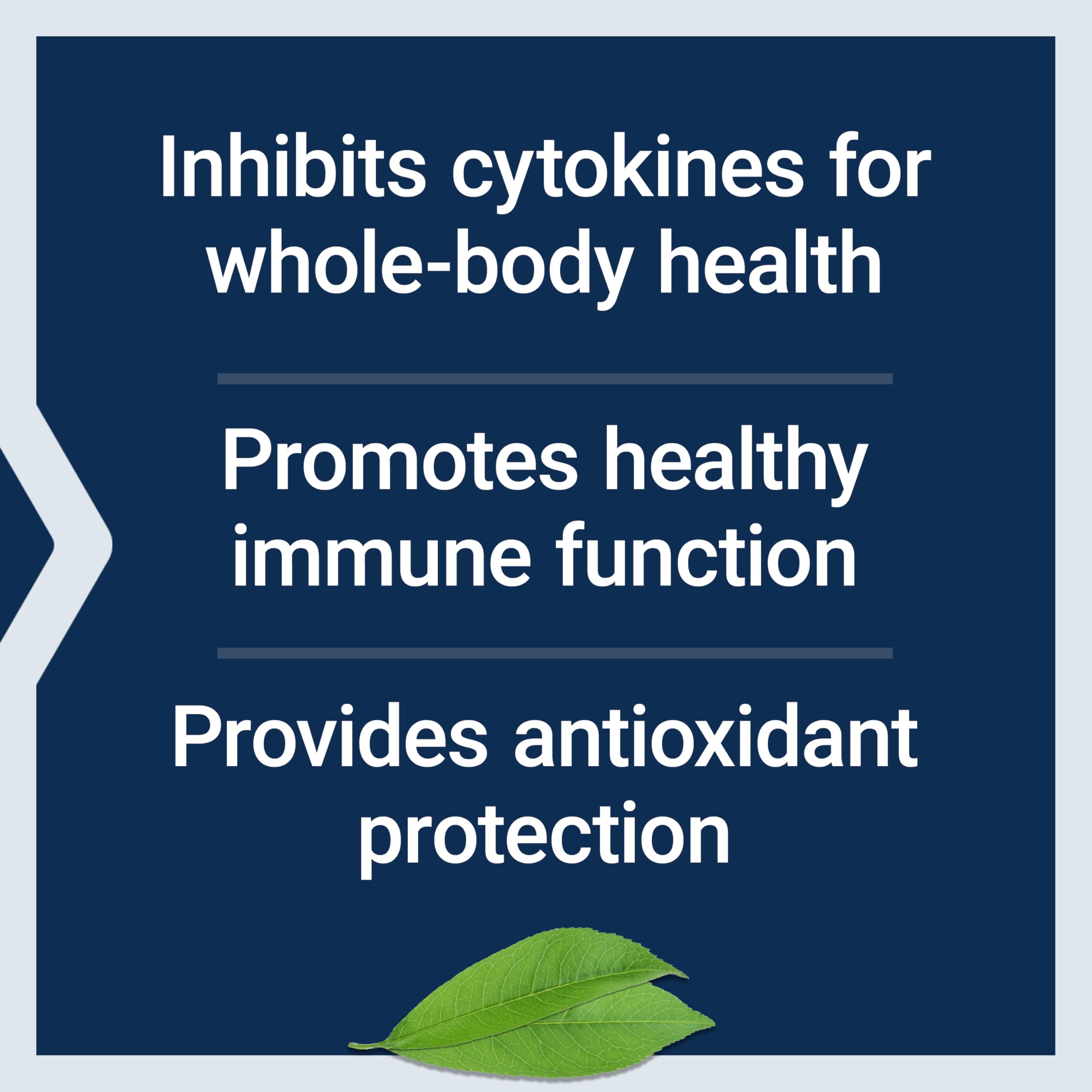 Mung bean extract detail emphasizing natural antioxidant support.