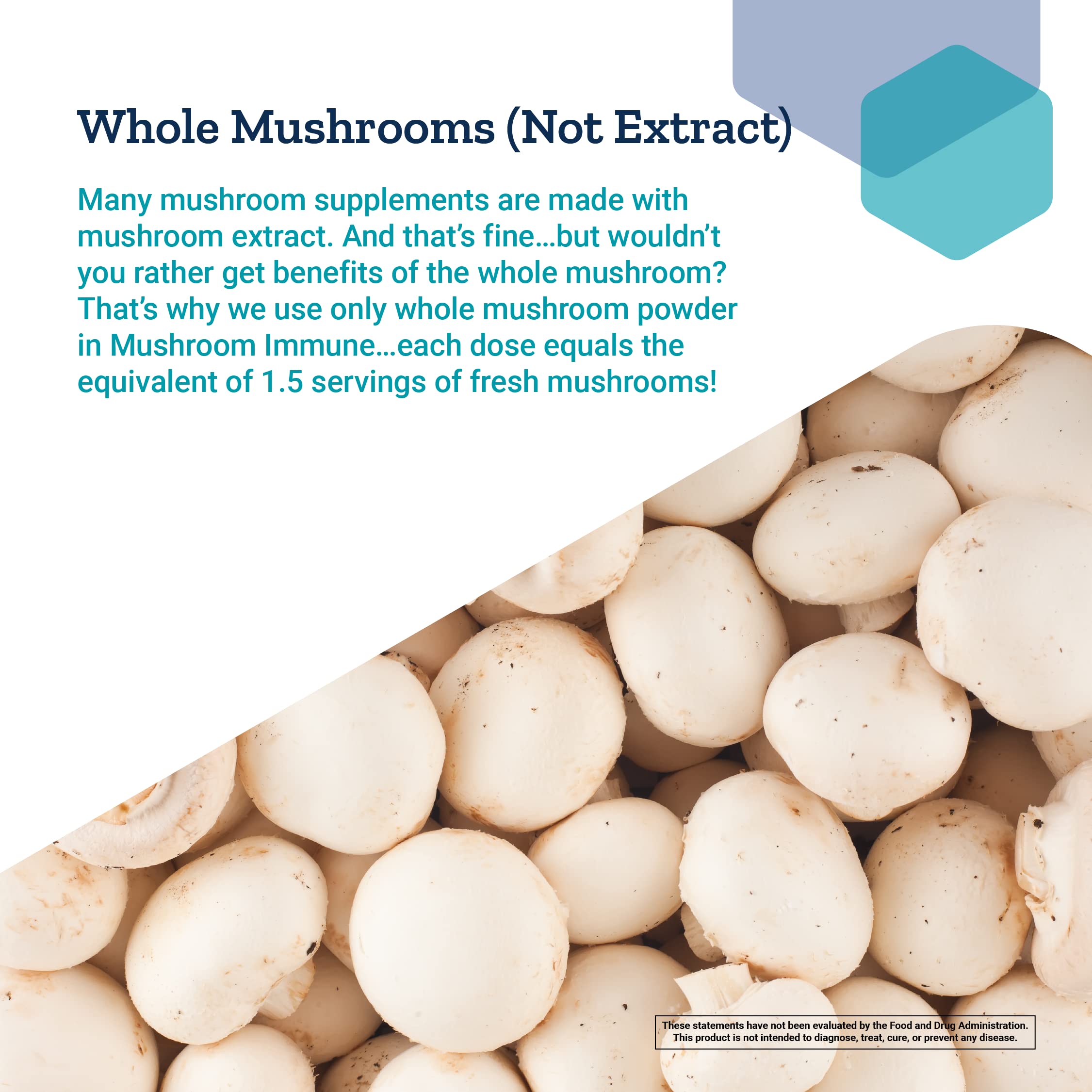 Life Extension Mushroom Immune Chaga view emphasizing earthy, traditional roots.