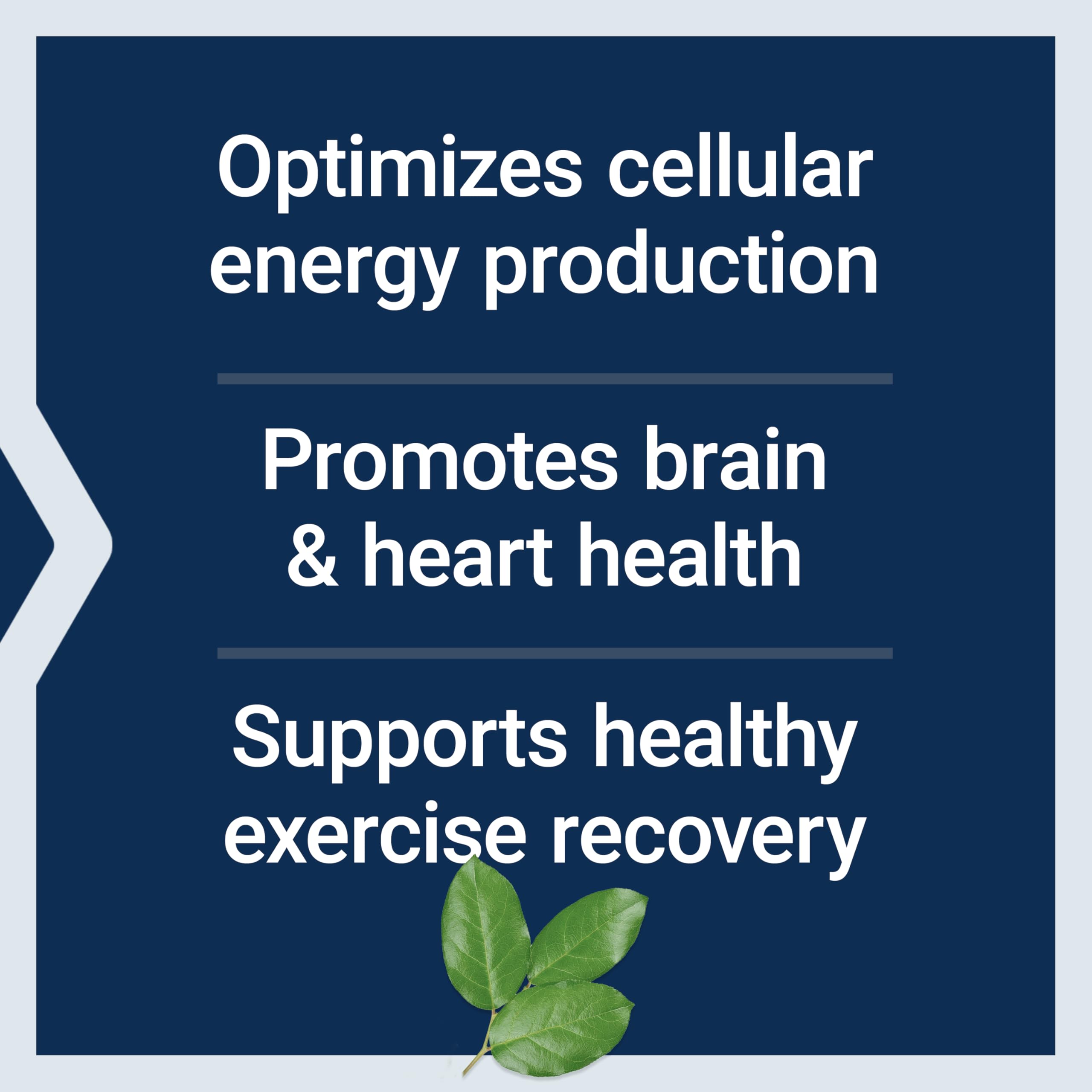Life Extension Optimized Carnitine gluten-free label confirming dietary compatibility