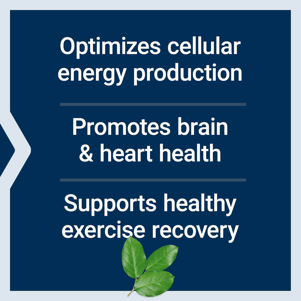 Life Extension Optimized Carnitine gluten-free label confirming dietary compatibility