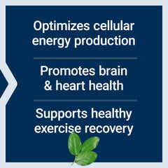 Life Extension Optimized Carnitine gluten-free label confirming dietary compatibility