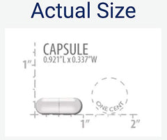 Life Extension Optimized Resveratrol capsules close-up showing convenient daily dosage.