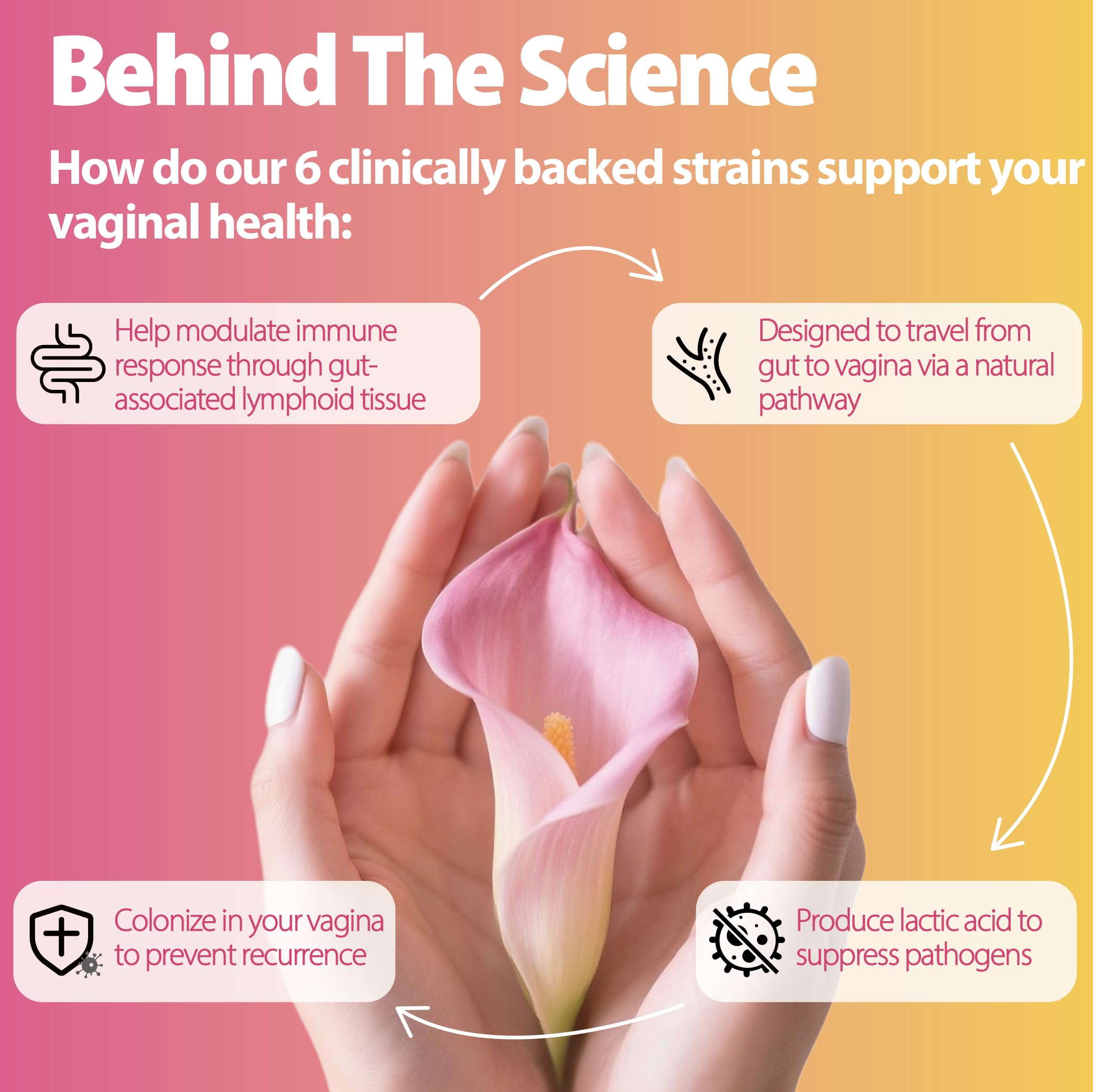 Life-Space Probiotic strains label emphasizes clinically studied strains for targeted vaginal support.