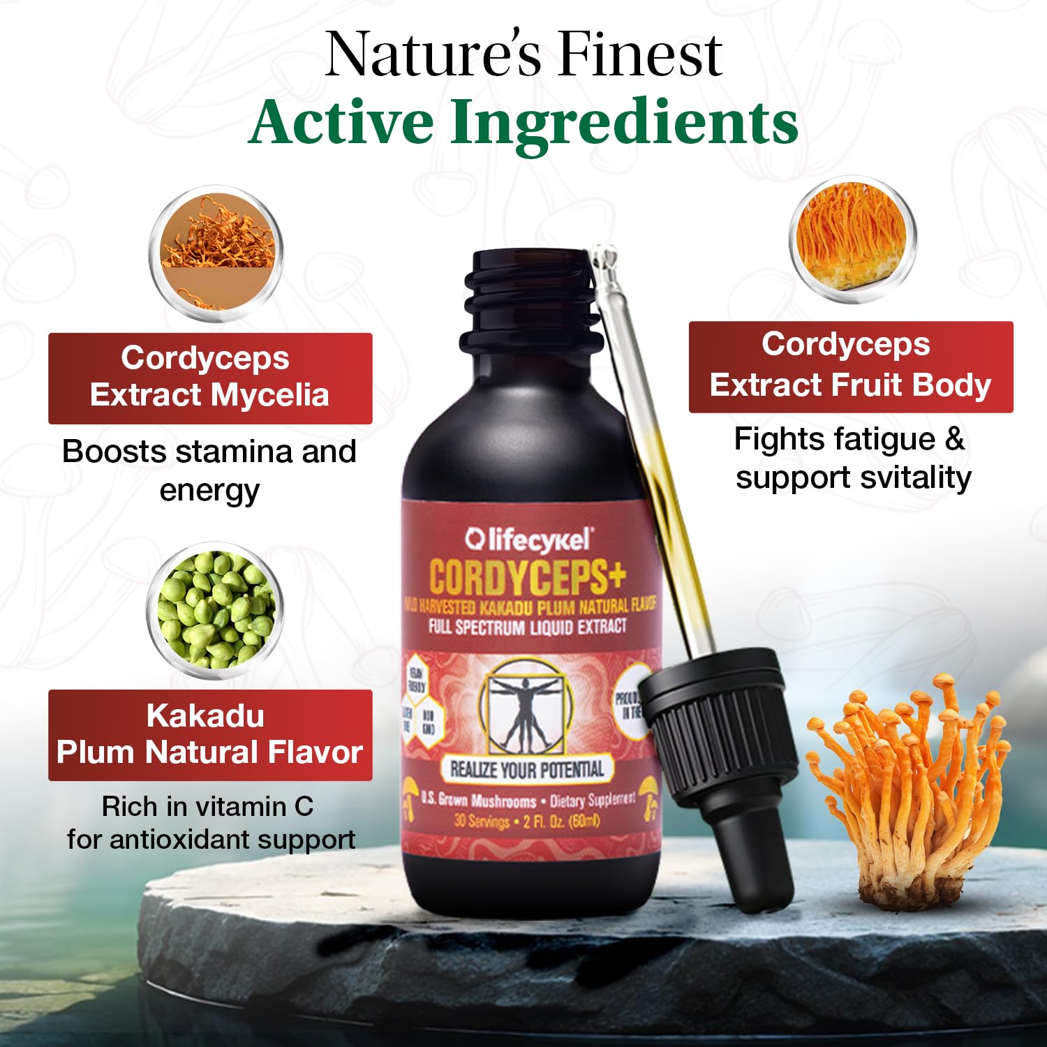 Life Cykel Kakadu Plum blend image highlighting antioxidant immune support.