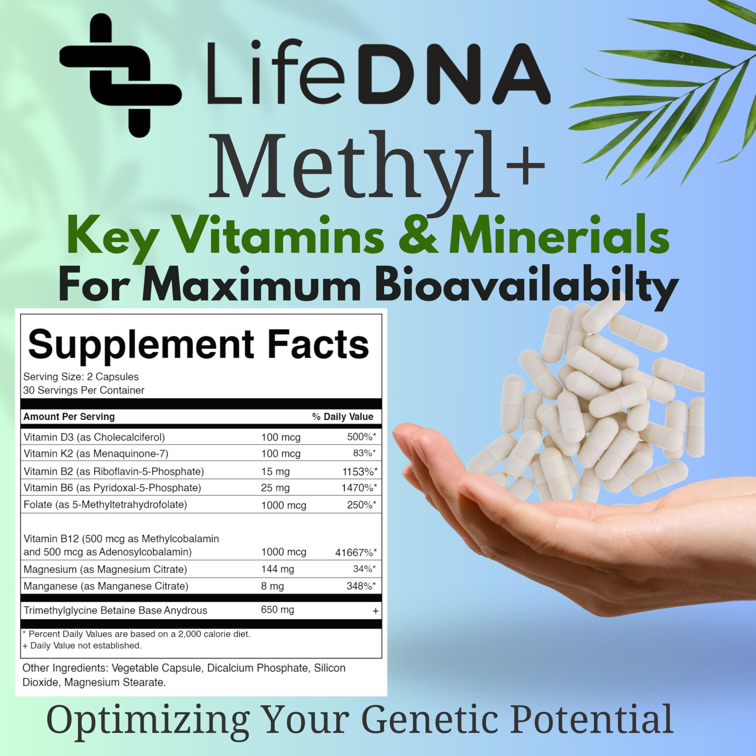 USA-made seal on LIFEDNA packaging signaling trusted production.