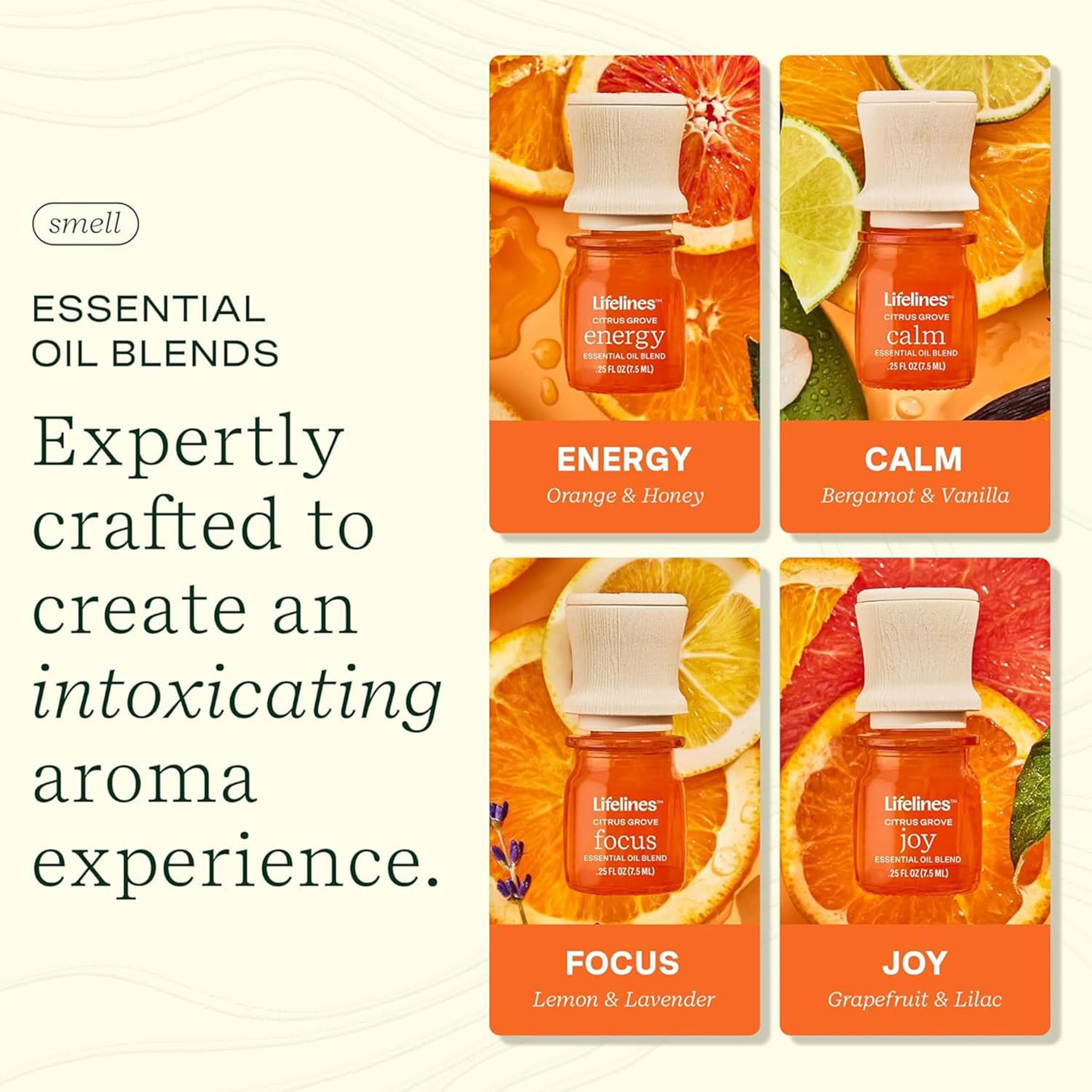 Lifelines Citrus Grove Focus lemon lavender blend ready to enrich concentration in study spaces.