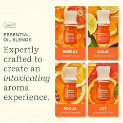 Lifelines Citrus Grove Focus lemon lavender blend ready to enrich concentration in study spaces.