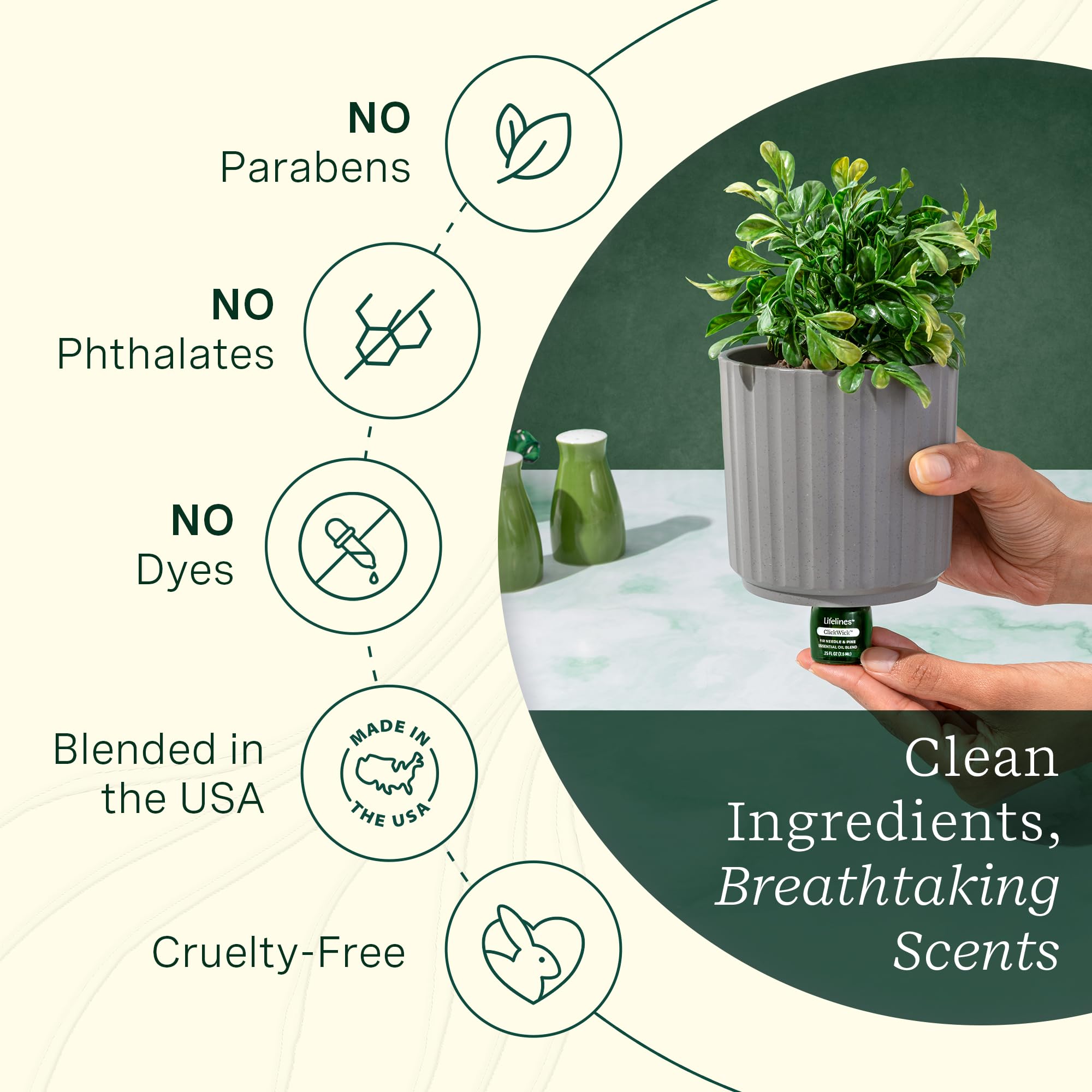 Paraben-free, phthalate-free Lifelines blend for clean aromatics.