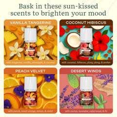 Lifelines ClickWick Vanilla Tangerine bottle near diffuser for warm, inviting aroma