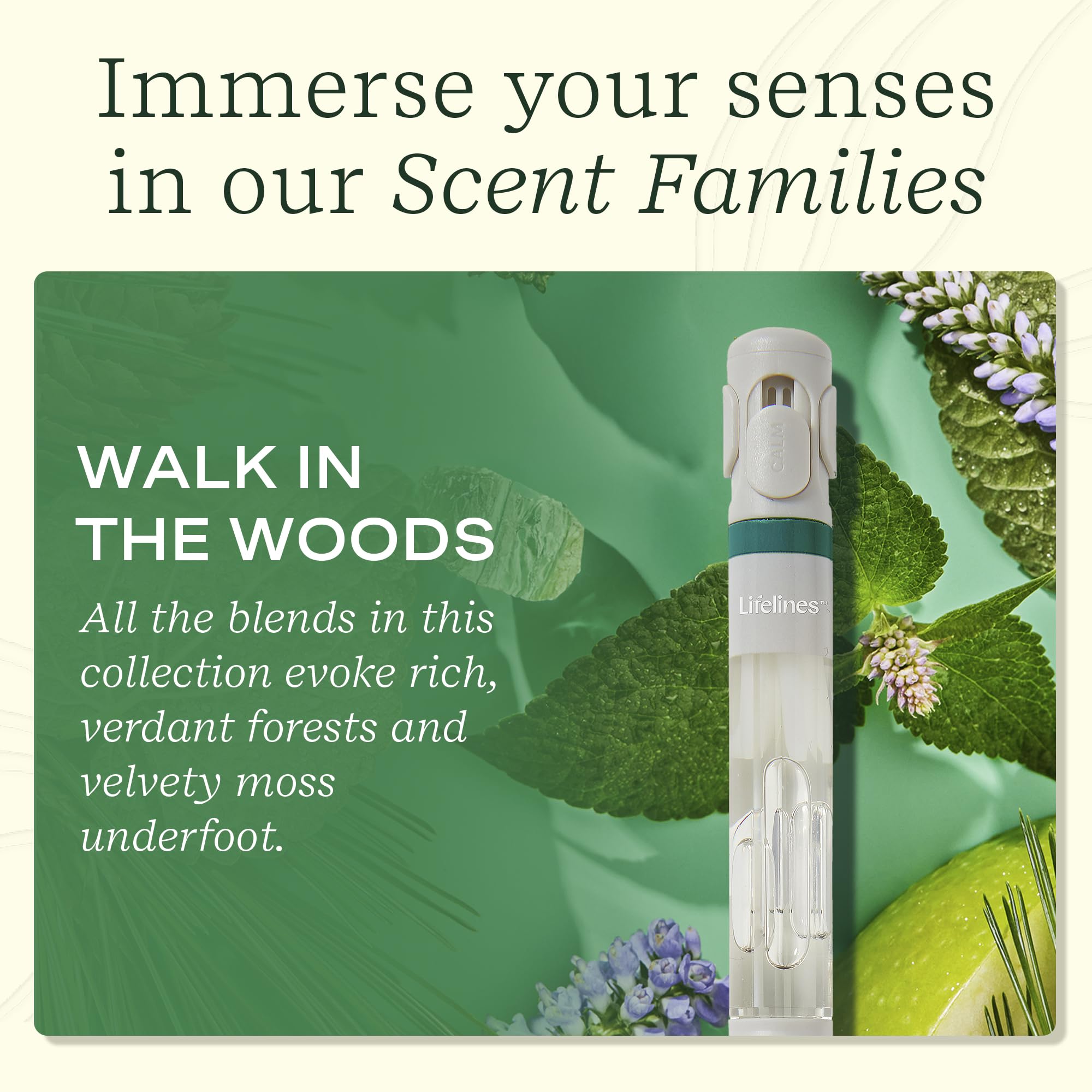 Lifelines Walk in the Woods forest scent image showing aroma diffusion for writing sessions.