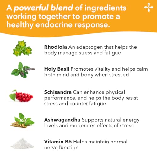 Morning routine scene with LifeSeasons Adrenal-T for calm focus.